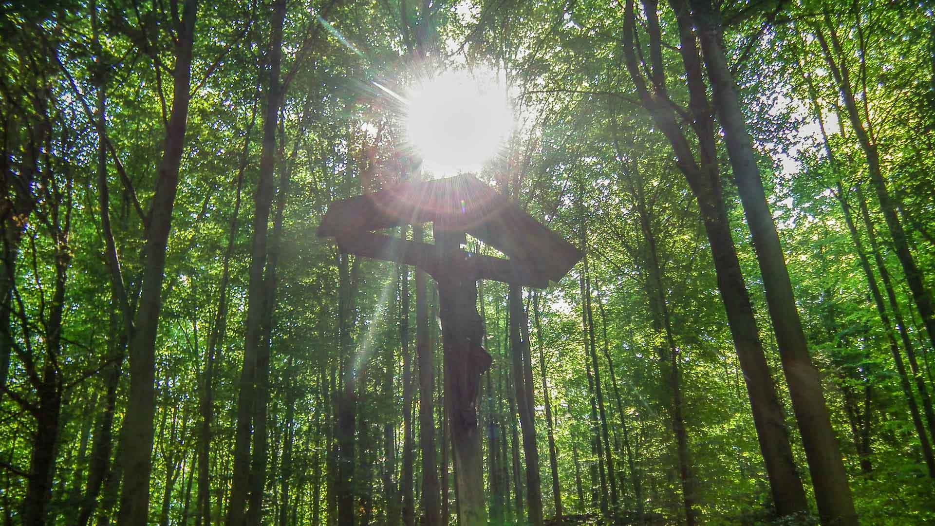 Heisterbach Kruzifix